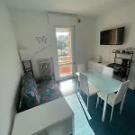 Tiny House X2